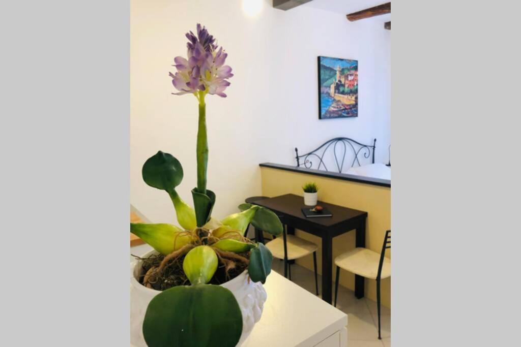 La Gianchina Di Vernazza - Central Cozy Apt Wi-Fi Eksteriør bilde